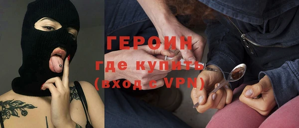 молекула духа Новозыбков