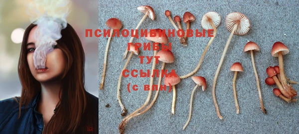 spice Волоколамск