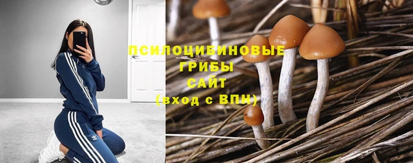 spice Новокубанск