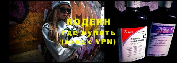 молекула духа Новозыбков