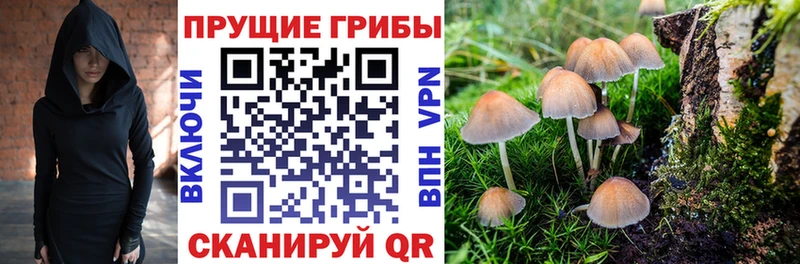 Галлюциногенные грибы Magic Shrooms даркнет сайт Елец